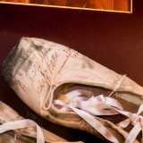 ...tra cui spiccano quelle indossate da Carla Fracci: simbolo di un luogo che ha resistito alla fame edilizia grazie alla leggiadria della danza
